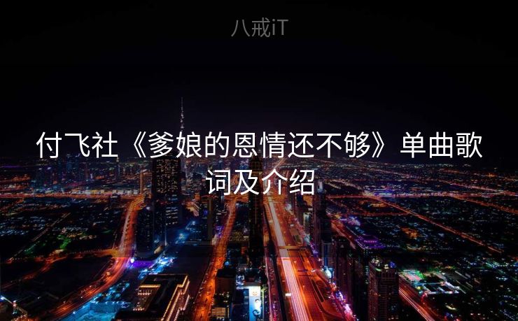 付飞社《爹娘的恩情还不够》单曲歌词及介绍