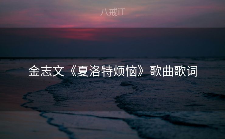 金志文《夏洛特烦恼》歌曲歌词