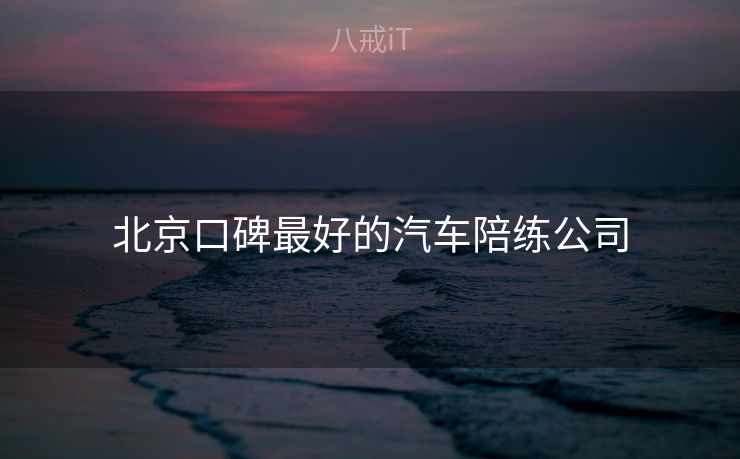 北京口碑最好的汽车陪练公司