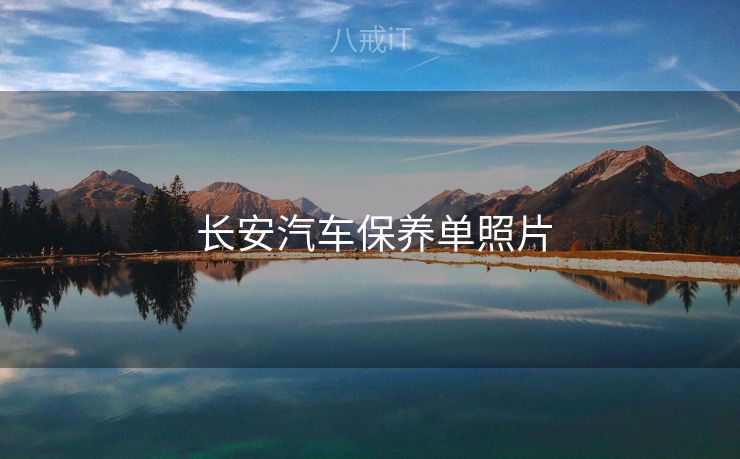  长安汽车保养单照片