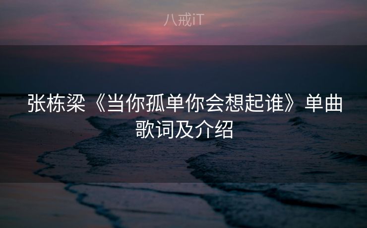 张栋梁《当你孤单你会想起谁》单曲歌词及介绍