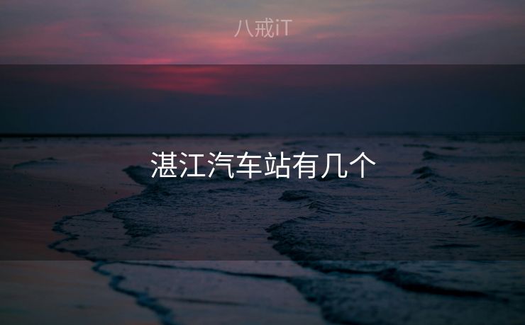 湛江汽车站有几个