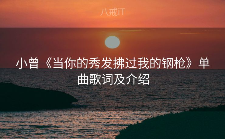 小曾《当你的秀发拂过我的钢枪》单曲歌词及介绍