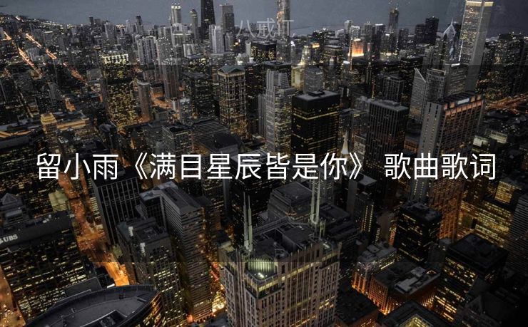 留小雨《满目星辰皆是你》 歌曲歌词