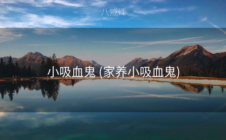 小吸血鬼 (家养小吸血鬼) 小吸血鬼 (家养小吸血鬼)