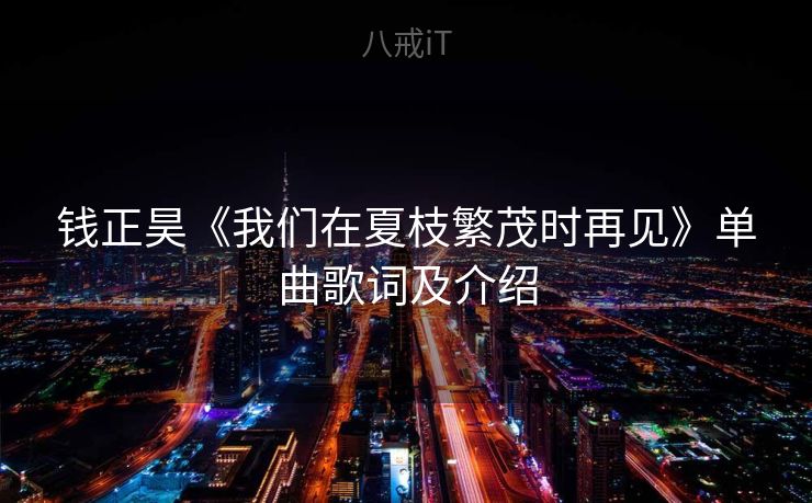 钱正昊《我们在夏枝繁茂时再见》单曲歌词及介绍