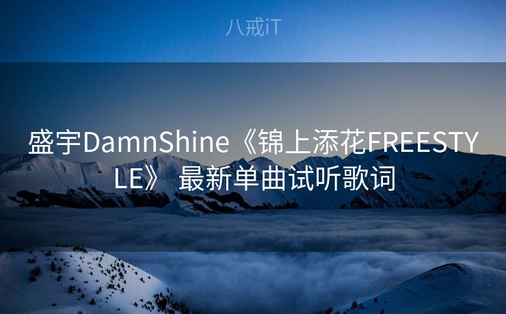 盛宇DamnShine《锦上添花FREESTYLE》 最新单曲试听歌词