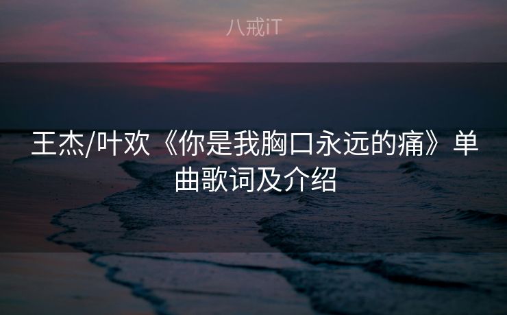 王杰/叶欢《你是我胸口永远的痛》单曲歌词及介绍