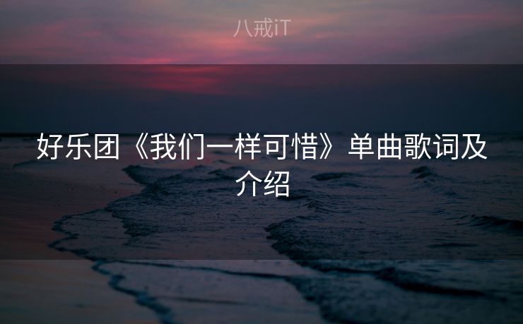 好乐团《我们一样可惜》单曲歌词及介绍