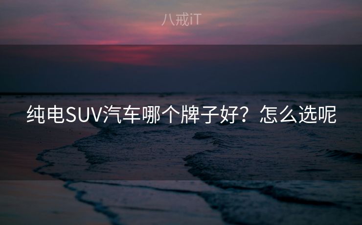 纯电SUV汽车哪个牌子好？怎么选呢