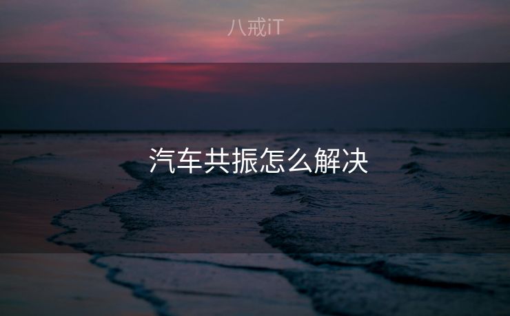  汽车共振怎么解决