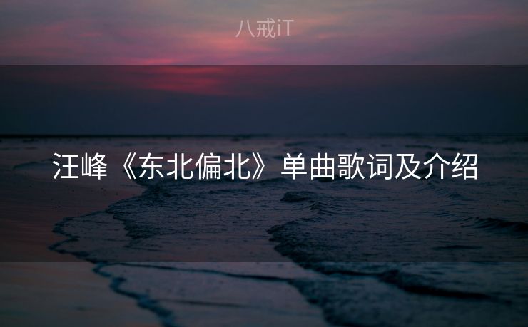 汪峰《东北偏北》单曲歌词及介绍