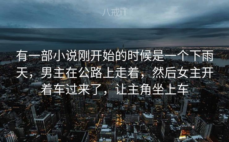 有一部小说刚开始的时候是一个下雨天，男主在公路上走着，然后女主开着车过来了，让主角坐上车