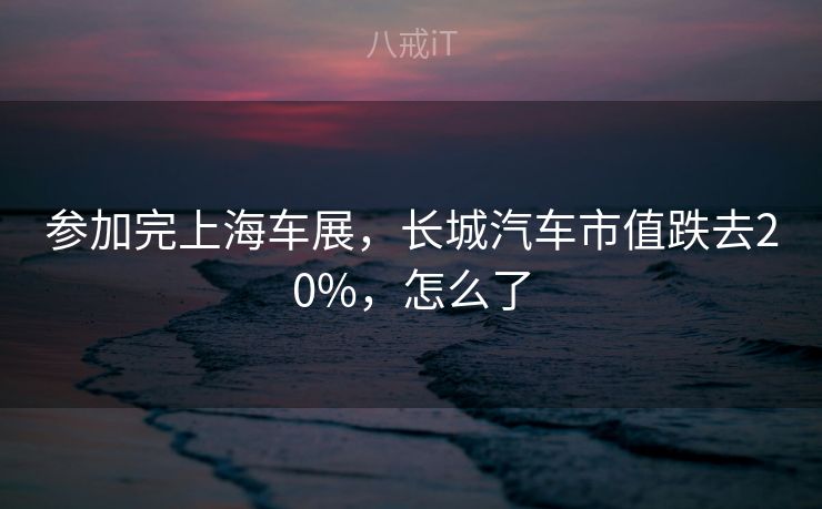 参加完上海车展，长城汽车市值跌去20%，怎么了