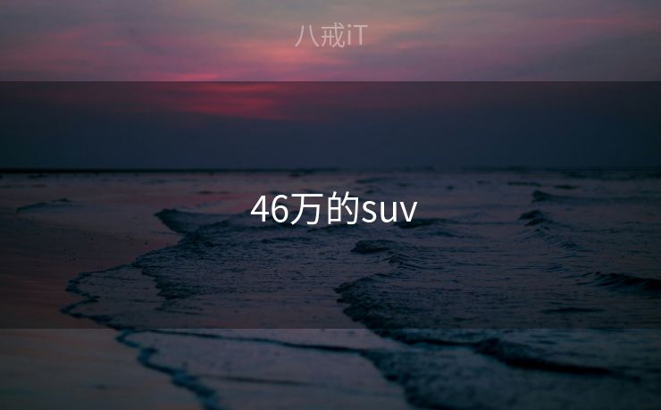  46万的suv
