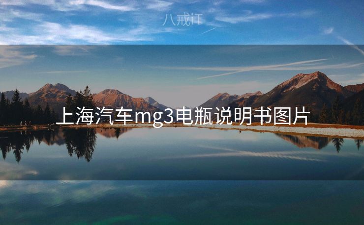 上海汽车mg3电瓶说明书图片