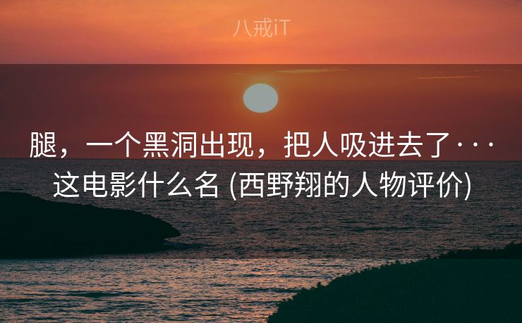 腿，一个黑洞出现，把人吸进去了···这电影什么名 (西野翔的人物评价)