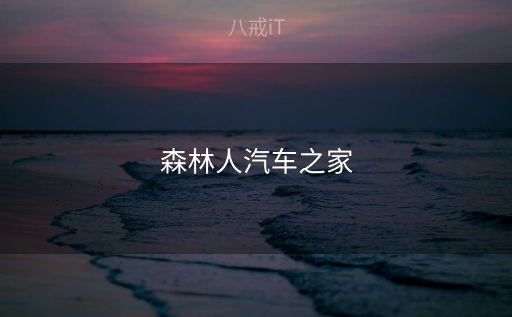 森林人汽车之家