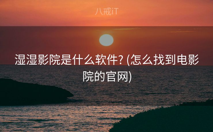 湿湿影院是什么软件? (怎么找到电影院的官网)