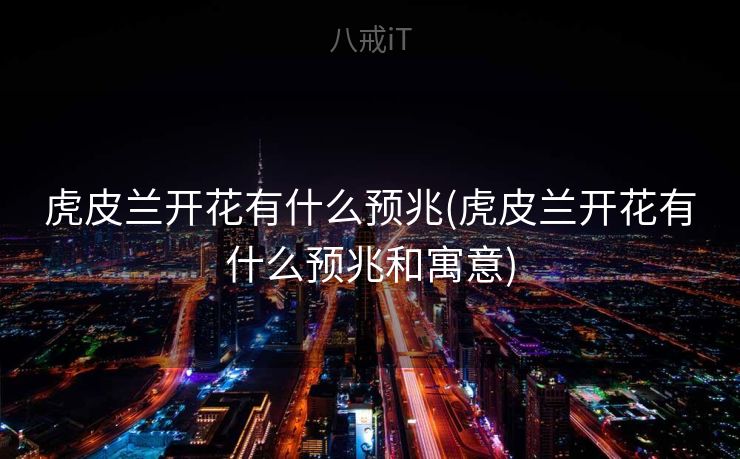 虎皮兰开花有什么预兆(虎皮兰开花有什么预兆和寓意)