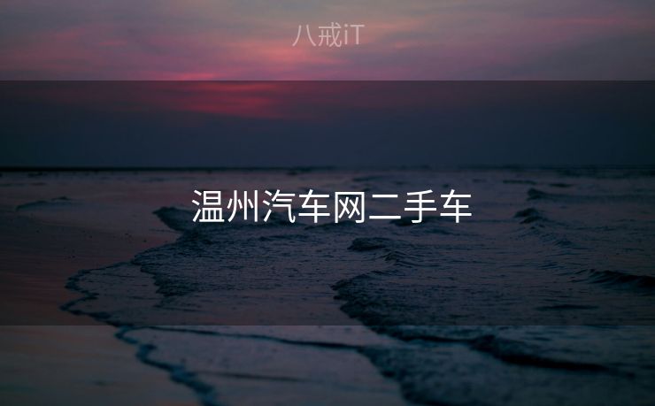  温州汽车网二手车