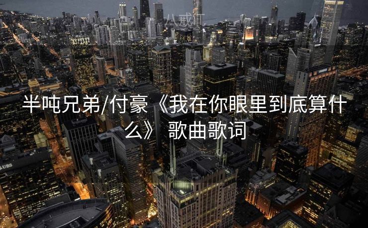 半吨兄弟/付豪《我在你眼里到底算什么》 歌曲歌词