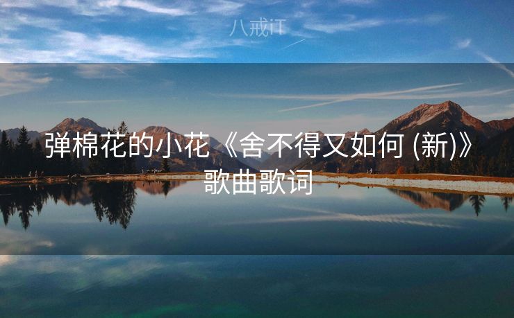 弹棉花的小花《舍不得又如何 (新)》歌曲歌词