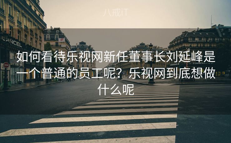 如何看待乐视网新任董事长刘延峰是一个普通的员工呢?乐视网到底想做什么呢 如何看待乐视网新任董事长刘延峰是一个普通的员工呢?乐视网到底想做什么呢