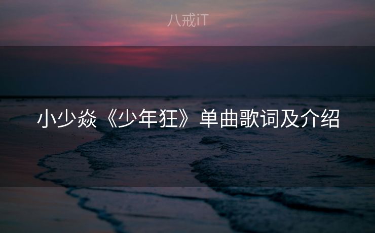 小少焱《少年狂》单曲歌词及介绍 小少焱《少年狂》单曲歌词及介绍