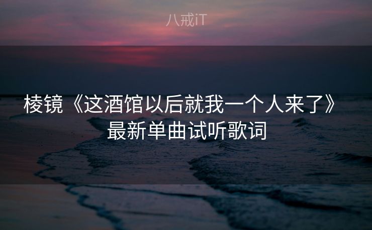 棱镜《这酒馆以后就我一个人来了》 最新单曲试听歌词