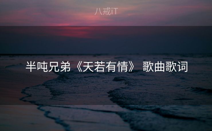 半吨兄弟《天若有情》 歌曲歌词