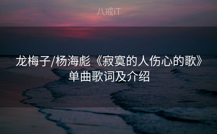 龙梅子/杨海彪《寂寞的人伤心的歌》单曲歌词及介绍