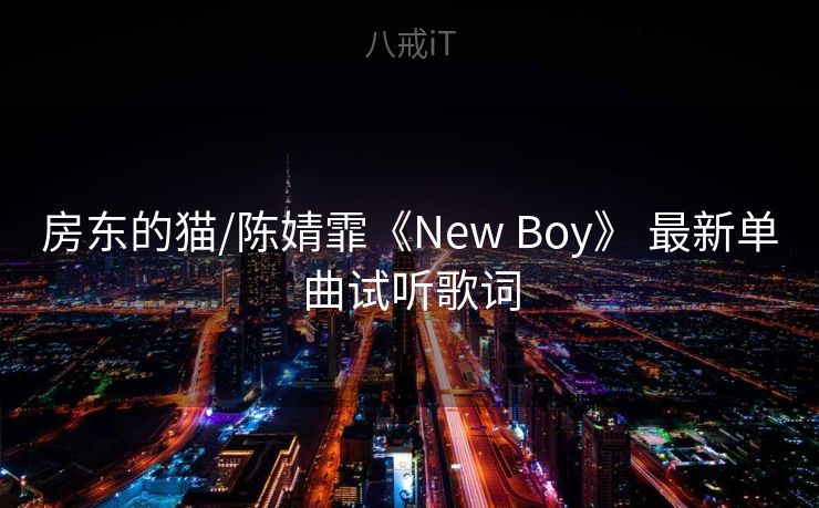 房东的猫/陈婧霏《New Boy》 最新单曲试听歌词
