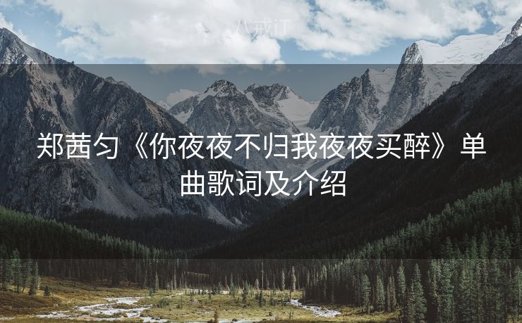 郑茜匀《你夜夜不归我夜夜买醉》单曲歌词及介绍