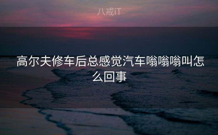  高尔夫修车后总感觉汽车嗡嗡嗡叫怎么回事