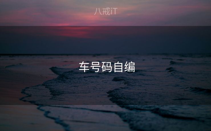  车号码自编