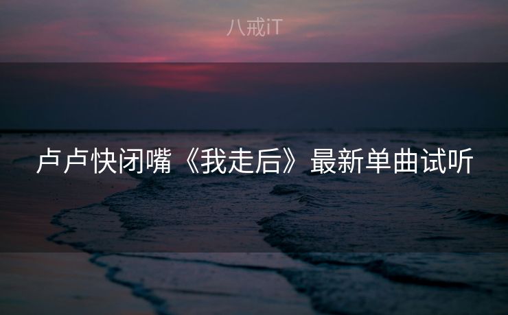 卢卢快闭嘴《我走后》最新单曲试听
