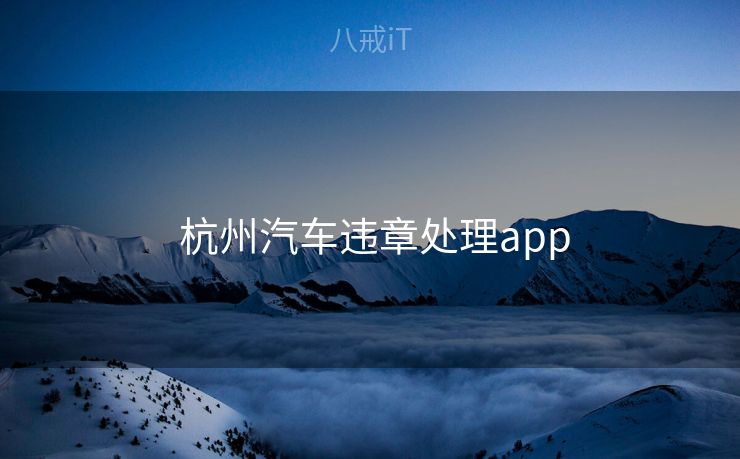  杭州汽车违章处理app