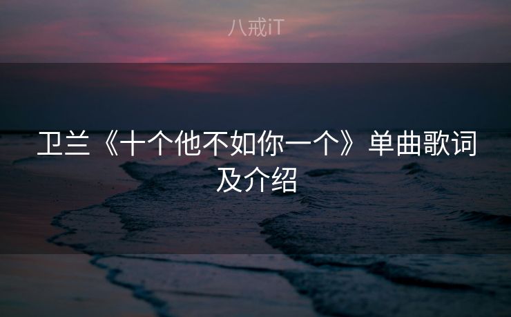 卫兰《十个他不如你一个》单曲歌词及介绍 卫兰《十个他不如你一个》单曲歌词及介绍