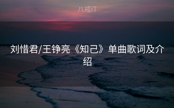 刘惜君/王铮亮《知己》单曲歌词及介绍