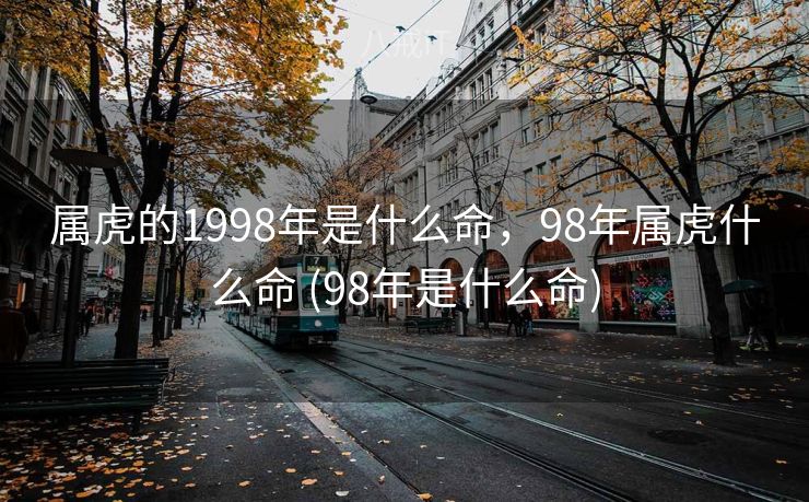 属虎的1998年是什么命,98年属虎什么命 (98年是什么命) 属虎的1998年是什么命,98年属虎什么命 (98年是什么命)
