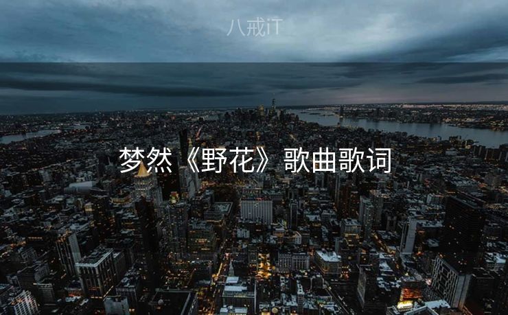 梦然《野花》歌曲歌词 梦然《野花》歌曲歌词