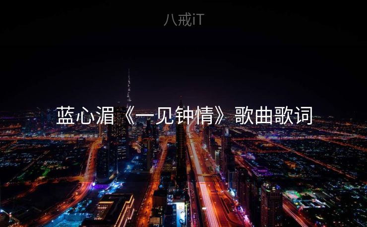 蓝心湄《一见钟情》歌曲歌词