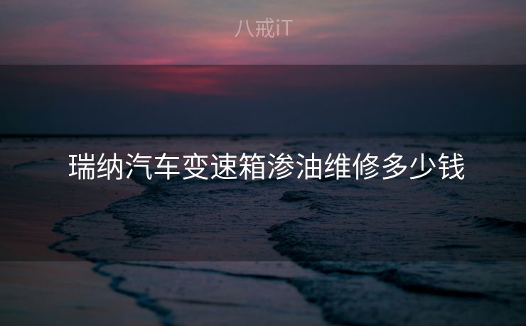  瑞纳汽车变速箱渗油维修多少钱