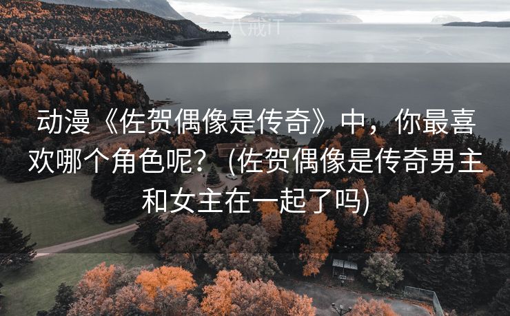 动漫《佐贺偶像是传奇》中，你最喜欢哪个角色呢？ (佐贺偶像是传奇男主和女主在一起了吗)