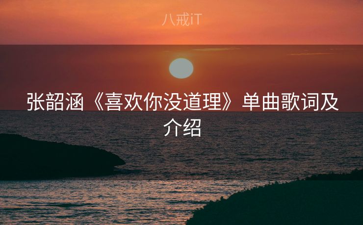 张韶涵《喜欢你没道理》单曲歌词及介绍