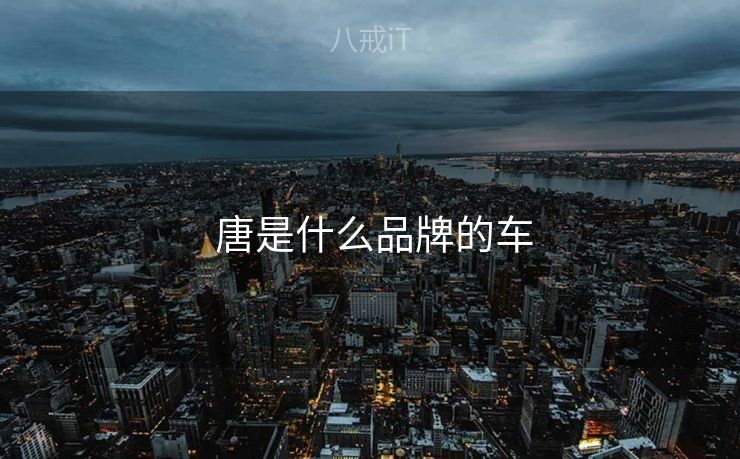  唐是什么品牌的车