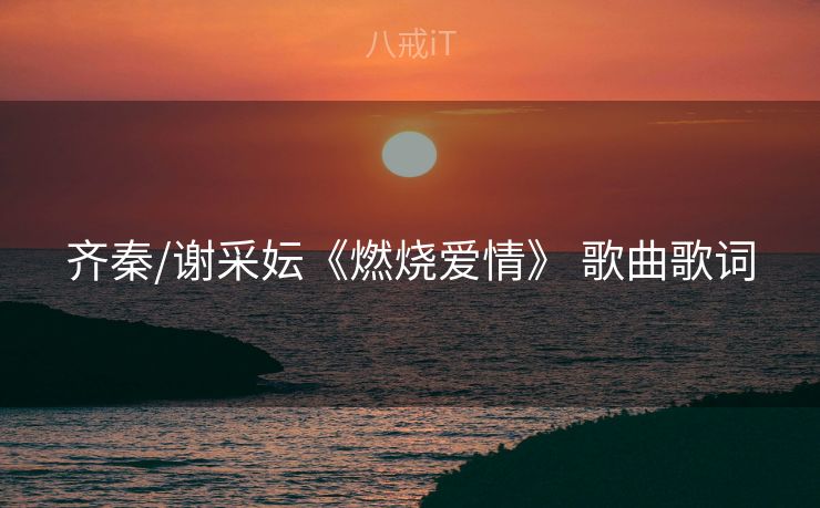 齐秦/谢采妘《燃烧爱情》 歌曲歌词
