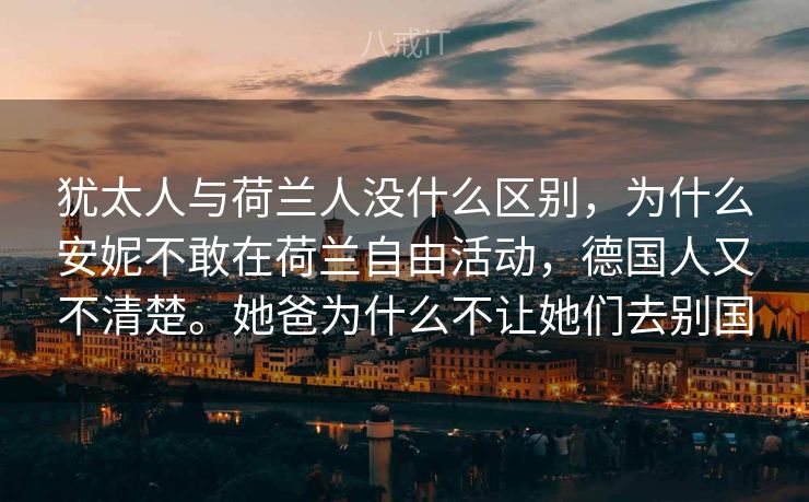 犹太人与荷兰人没什么区别，为什么安妮不敢在荷兰自由活动，德国人又不清楚。她爸为什么不让她们去别国