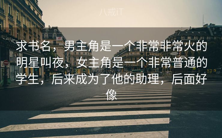 求书名，男主角是一个非常非常火的明星叫夜，女主角是一个非常普通的学生，后来成为了他的助理，后面好像